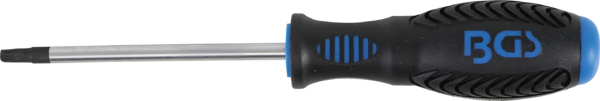 Schroevendraaier | T-profiel (voor Torx) T27 | Meslengte 100 mm