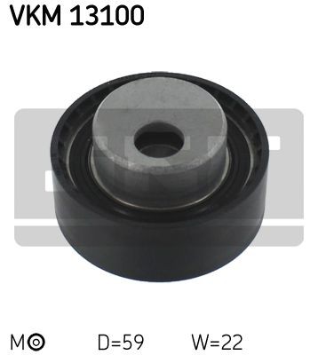 VKM 13100