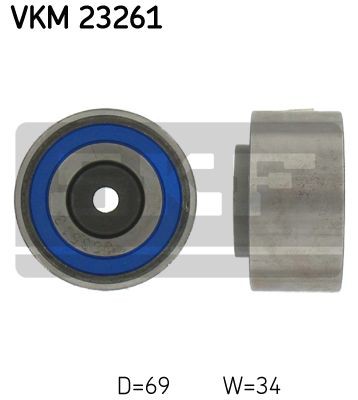 VKM 23261