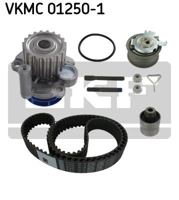 VKMC 01250-1