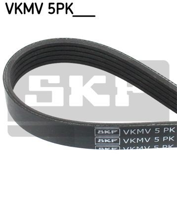 VKMV 5PK1219